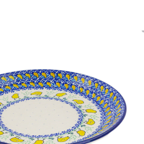 P4082B Hatched (2025-09-17 14:26:49)