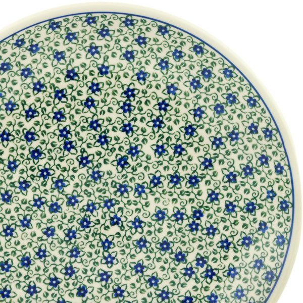 P2770A Lobelia Vines (2025-09-10 16:36:14)