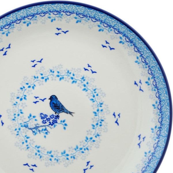 P2179B Sea Bird (2025-08-01 06:24:18)