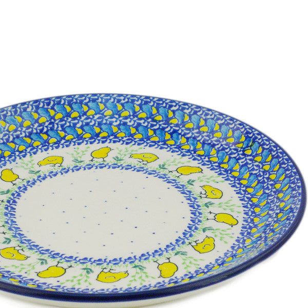 P4080B Spring Chick (2025-09-17 14:26:50)