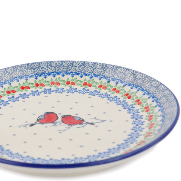 P3972B Winter Robin (2025-08-01 06:22:13)